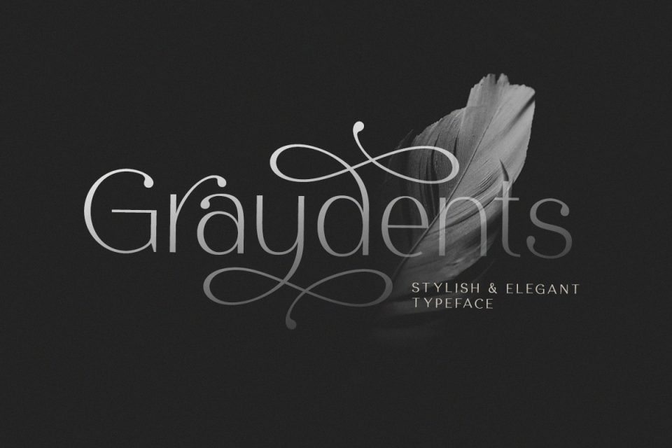 Graydents 字体 优雅的字体 花式字体 现代字体 婚礼字体