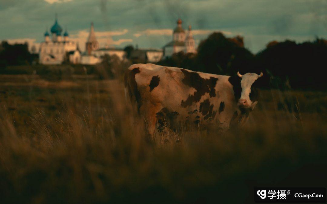 0344dbe5e242ce33c4caf5ed9012bc45