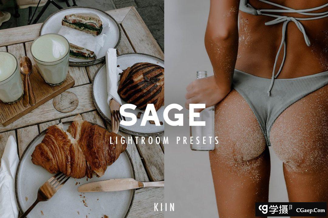 12个INS风格电影胶片Lightroom预设 12 SAGE LIGHTROOM PRESETS