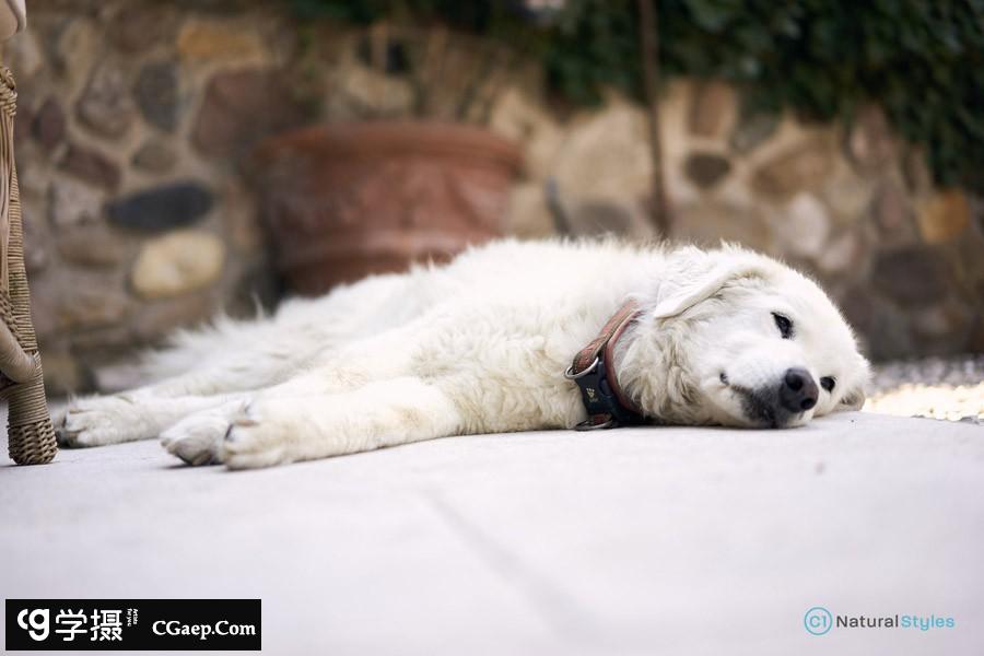 0798bdc105ec0b8a042790d7676b0b68