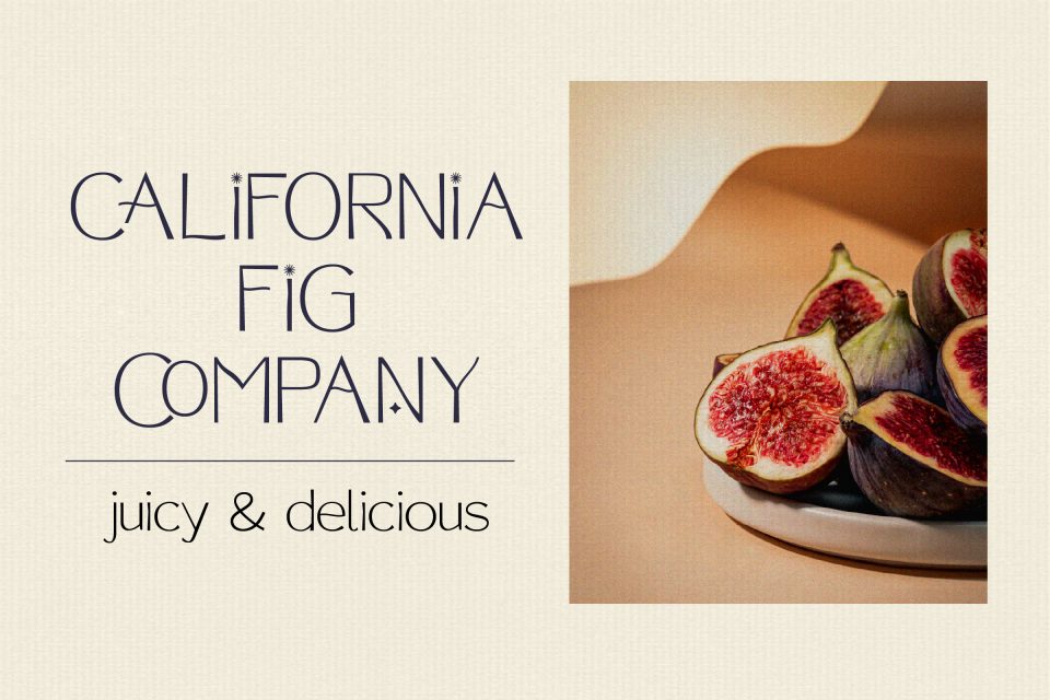 091804e8d55afb4bdc71747d00f5f579