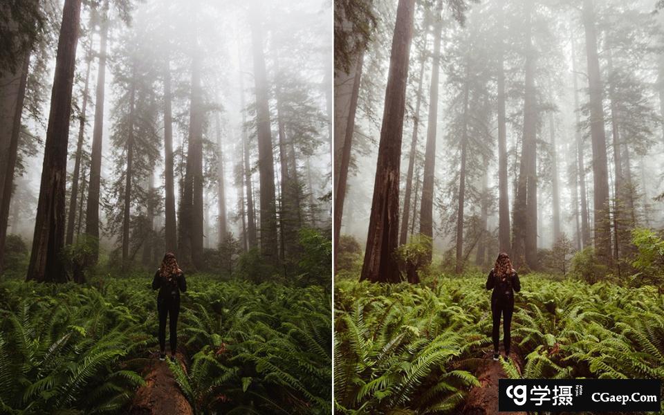 10e6bc1a39abb6e8d9b8365286547d85