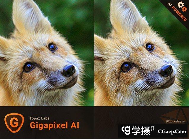 Topaz Gigapixel AI 6.1.0 (x64)无损照片放大处理软件下载