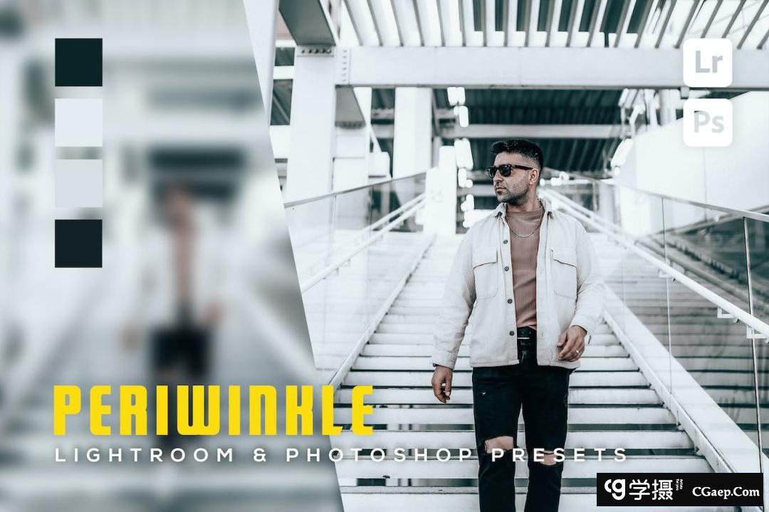 中性灰调街拍人像调色Lightroom预设Periwinkle Lightroom Presets