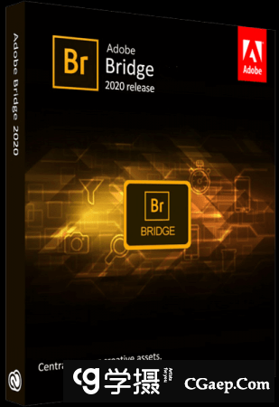 Adobe Bridge 2022 v12.0.2.252 (x64) 多语言软件下载