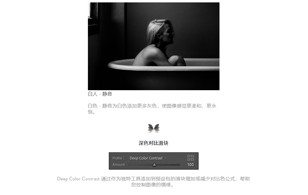 19be01f4ff8a0473905b7a38a74ad7f7