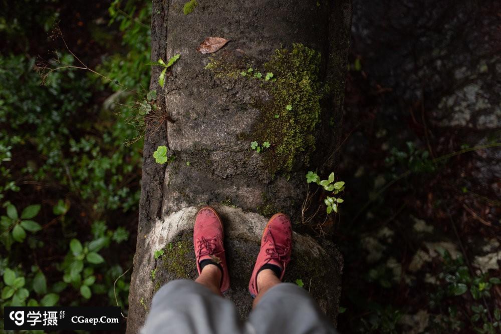 1ca7c7a3ef2f3325c38d440e9bef3969