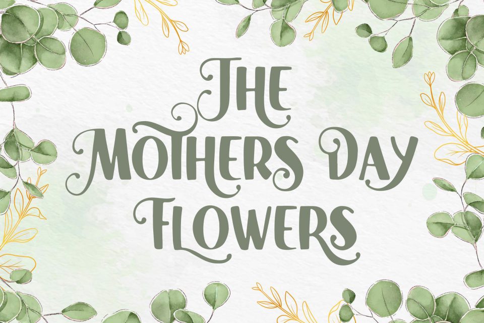 1f5bba02293bcf5c559efc1ae95bc846