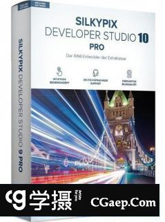 SILKYPIX Developer Studio Pro 10.0.5汉化版|RAW数码照片处理软件WinX64