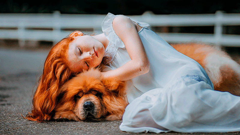 213cebacccca9e47a3118bef2451bd70-1 213cebacccca9e47a3118bef2451bd70-1