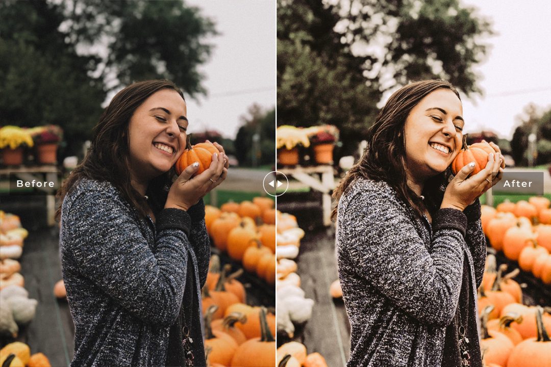 21b1dc67e1c6320da68f150dc82d0179