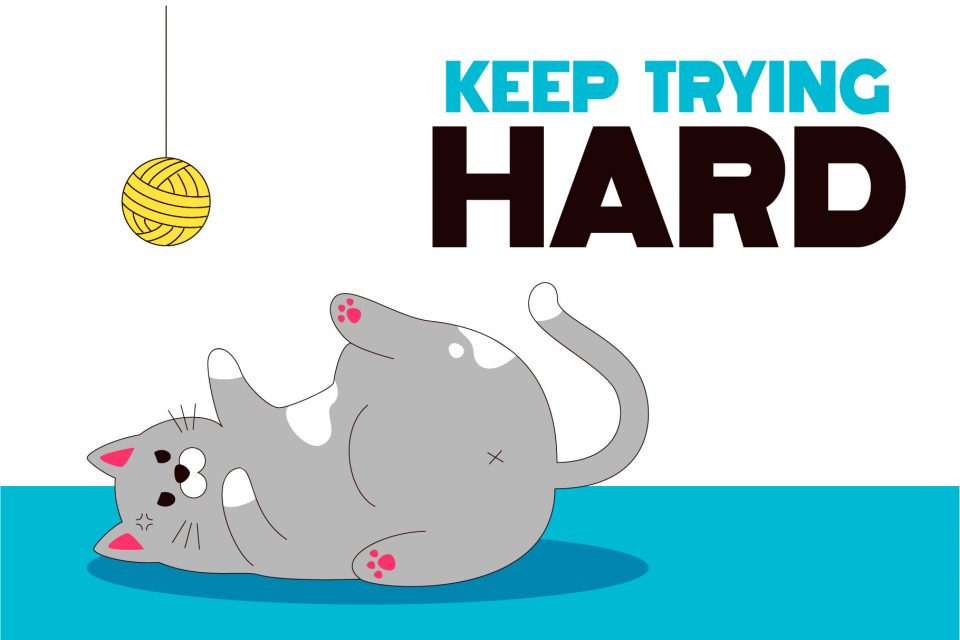 232f517f9d3073cc502e2973a90d2a4a