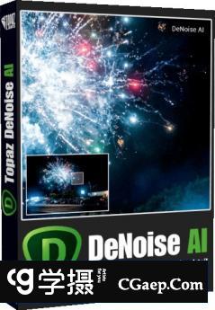 Topaz DeNoise AI 人工智能降噪PS插件Topaz DeNoise AI 2.1.7 WinX64