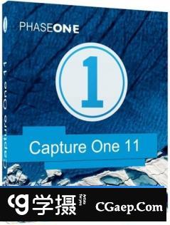 飞思RAW软件 Capture One Pro 11.3中文版 CaptureOne Pro 11.3 Win&Mac