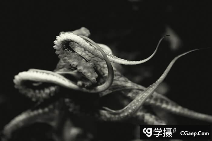 2b64c17d6dada666dcc0c5147f1e4541