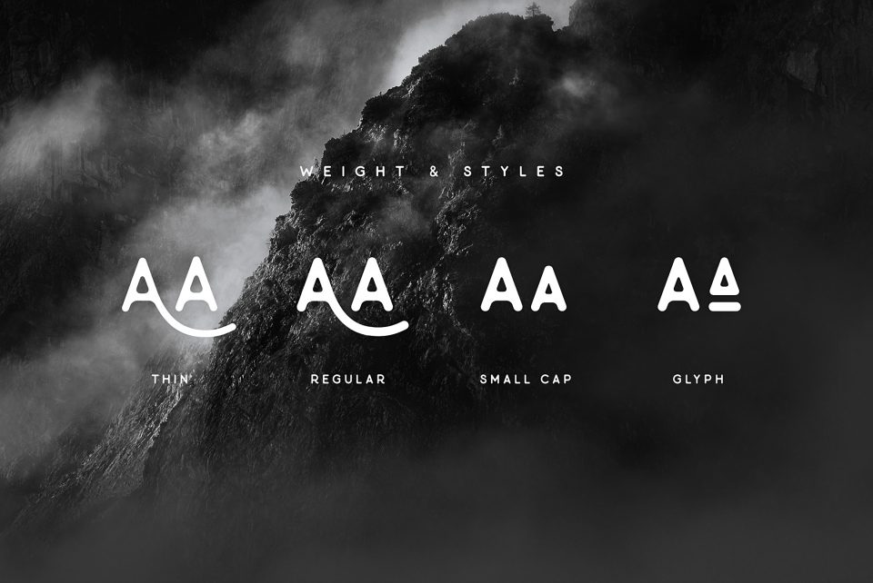 2fc85023331cbe76af57aef418374ed4