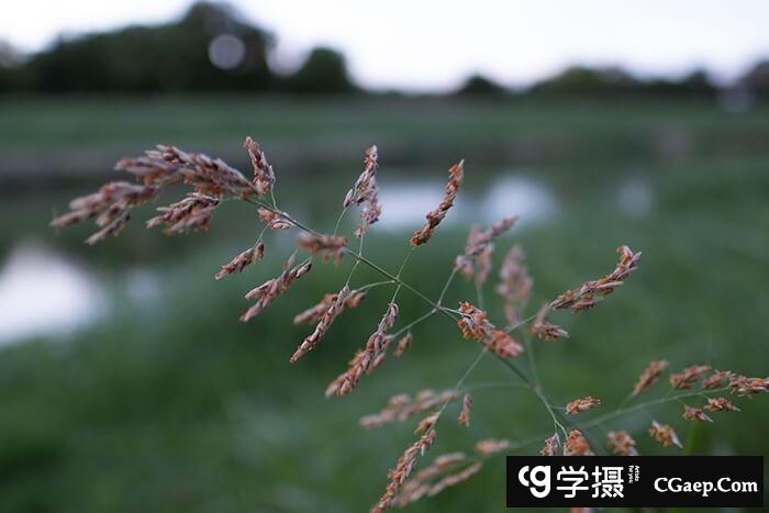 303afd30637d156a5ae98f91198faa71