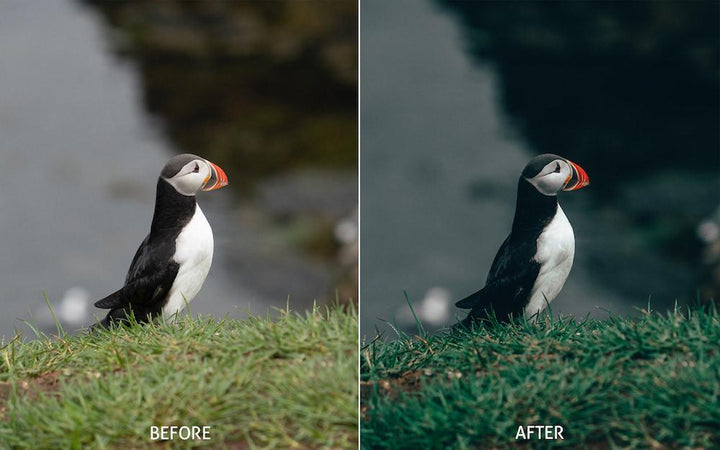 358ed51beadcdbf6e8d47dcf0f3d6ed2 358ed51beadcdbf6e8d47dcf0f3d6ed2