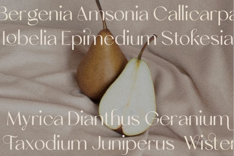 37bb1ffad66dcb1fe6e213f1031f14e1