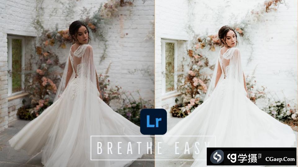 388a7aee8f91966145e445f5d7617c8b