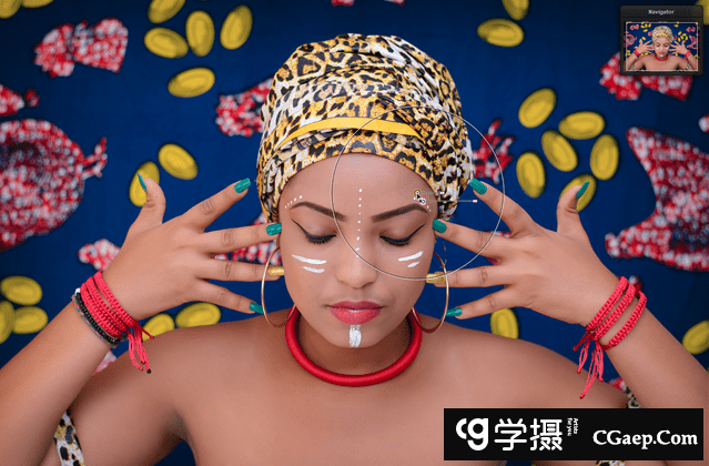 Nik Collection 2 2019中文版-PS滤镜插件套装