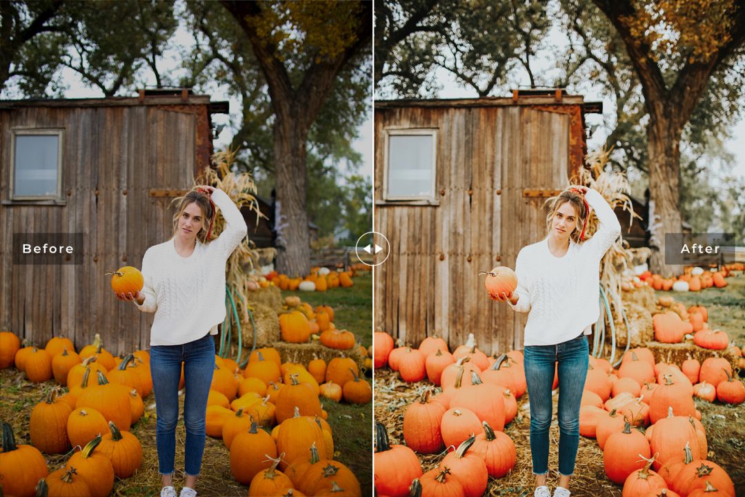 3a36536c5205d1591dc078978c4c6c5f