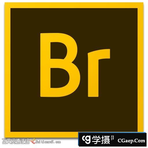 Adobe Bridge CC 2019 for Mac v9.1.0+ACR12.0 图像管理器 Br中文版