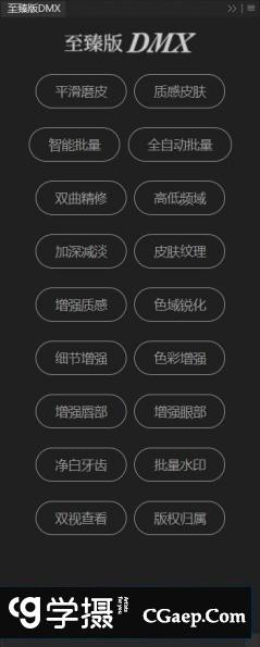 PS磨皮插件一键批量全自动人像精修质感修图至臻版DMX