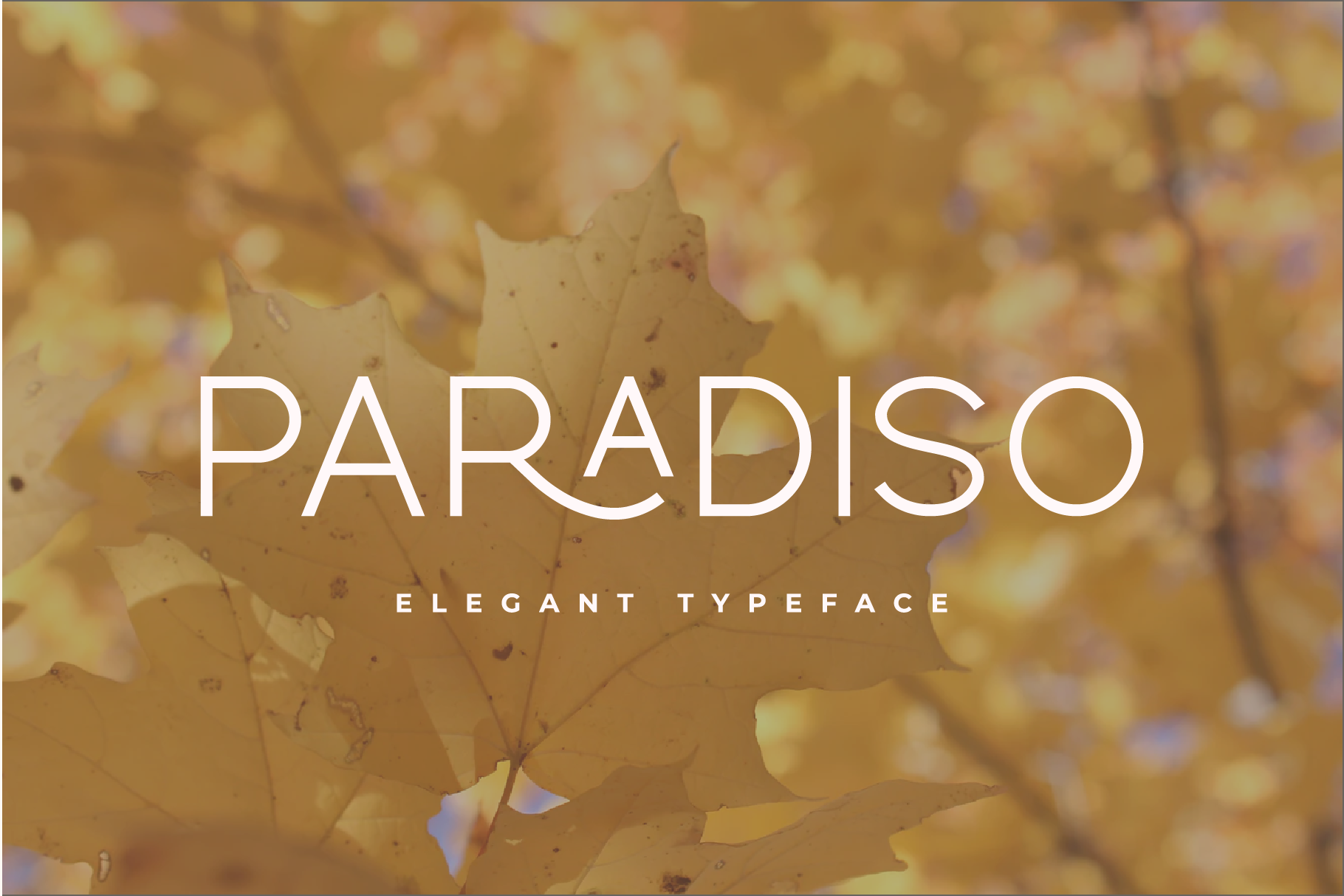 无衬线字体- Paradiso字体