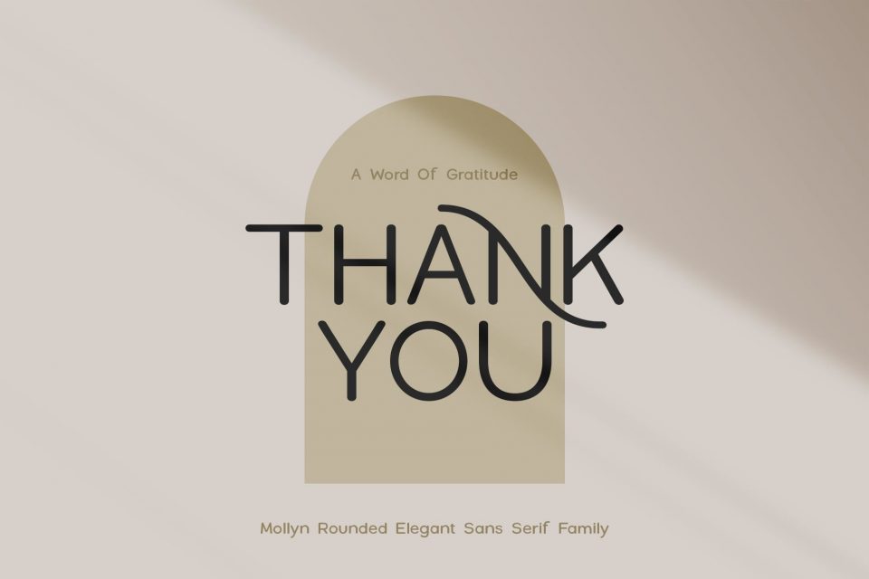 3e48e5247a1f533d19093fb7508177e5