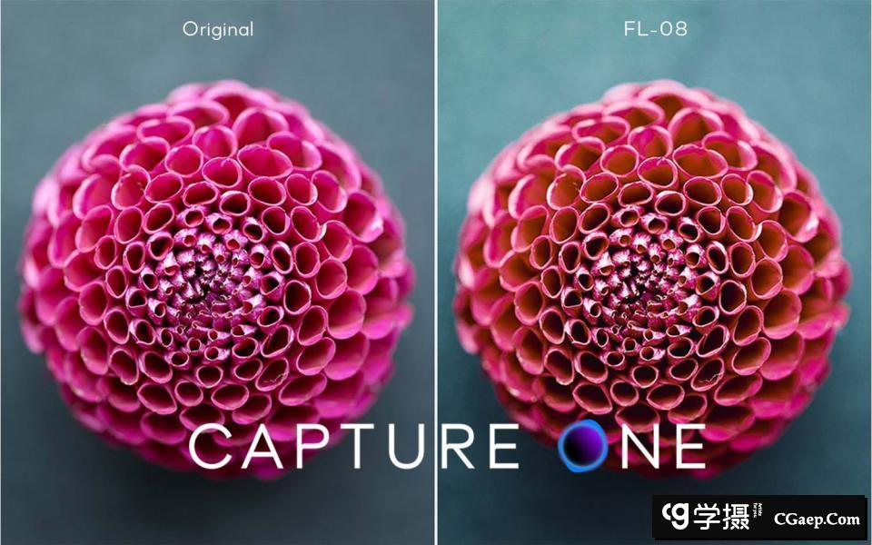 飞思Capture One样式下载- 经典电影胶片预设Capture One样式合集