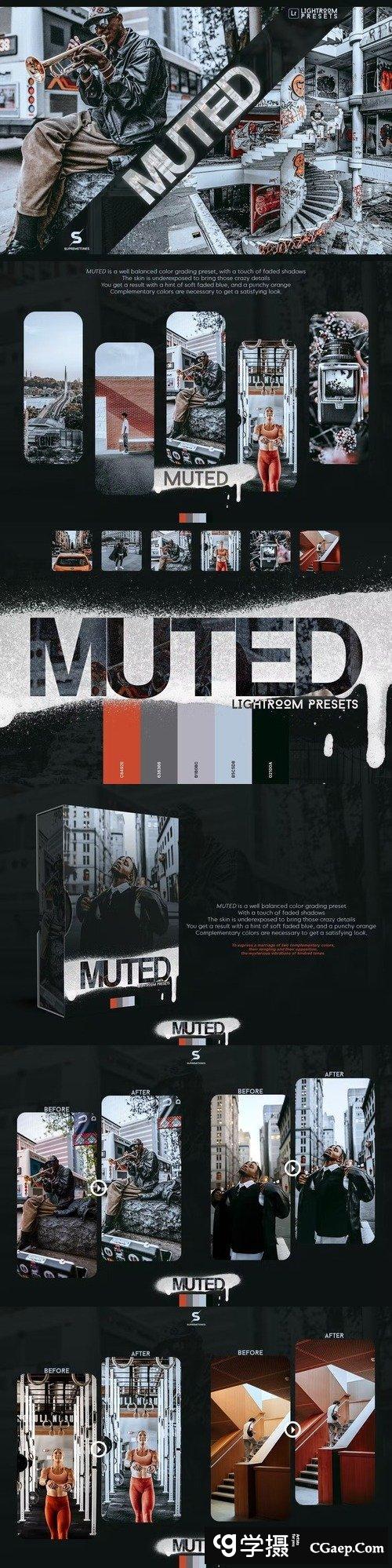 城市人像静音Lightroom预设