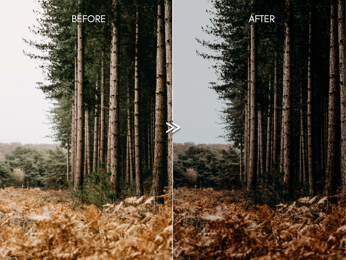 435bd13c24263931337232357551aa74