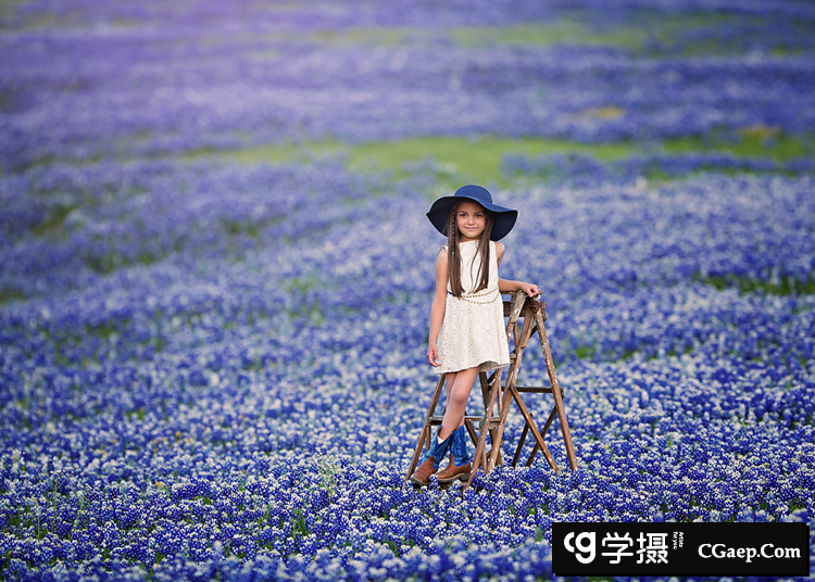 458b5c319c7e3bfe5011318eb37031a2