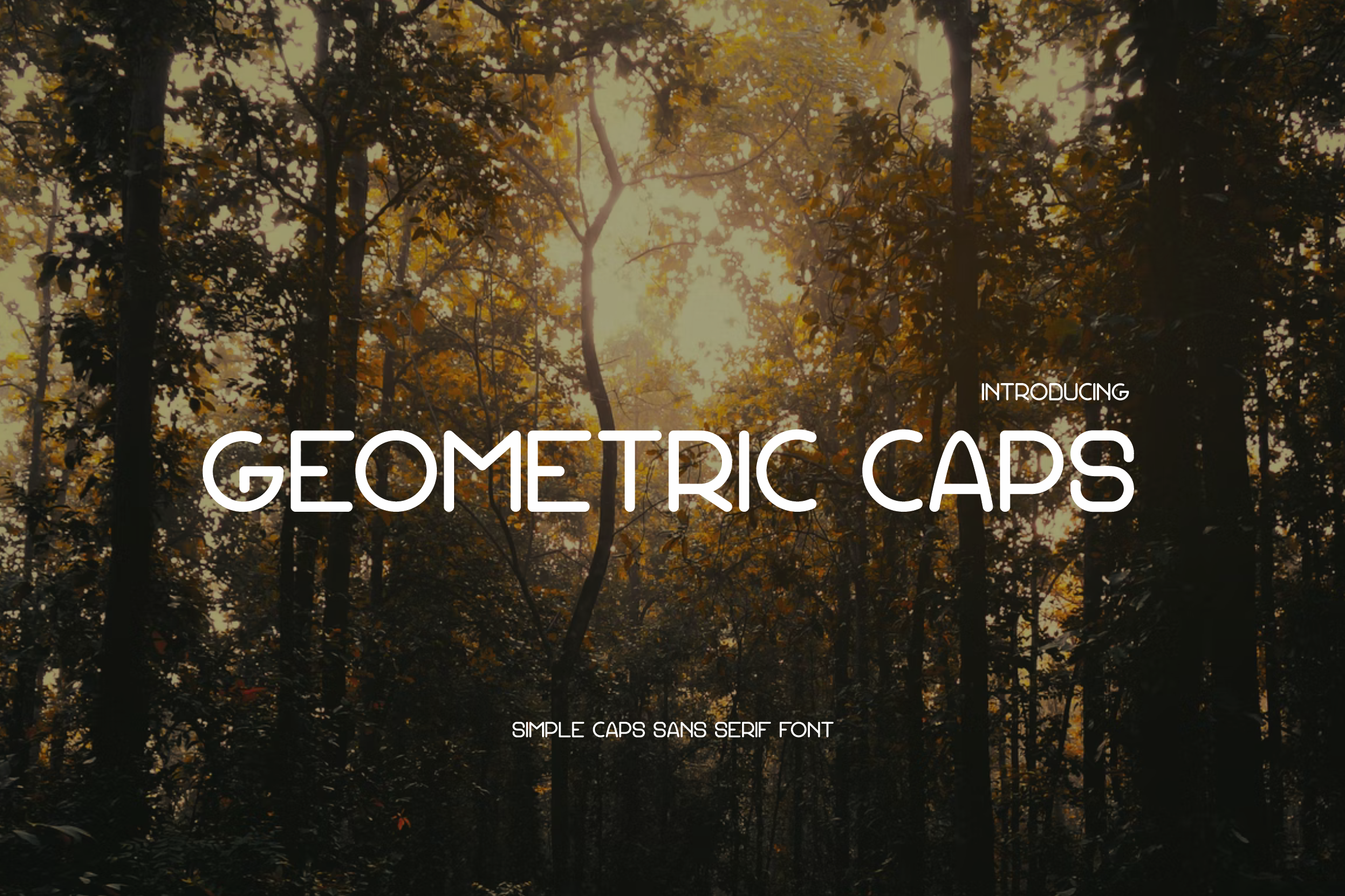 Geometric Caps 字体