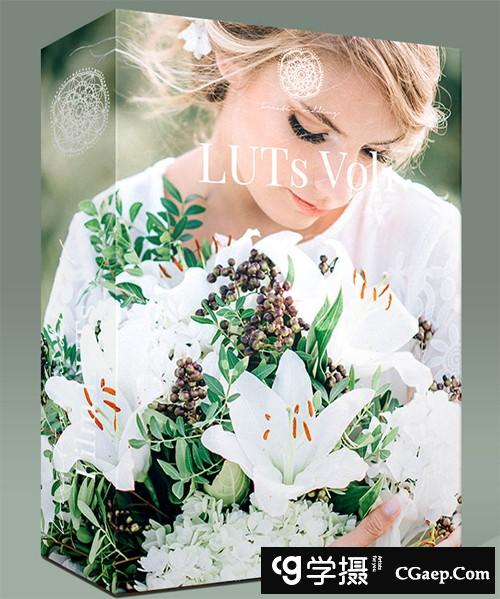 飞思婚礼人像预设第一季-KREATIV WEDDING LUTS VOL1 for Capture One Pro