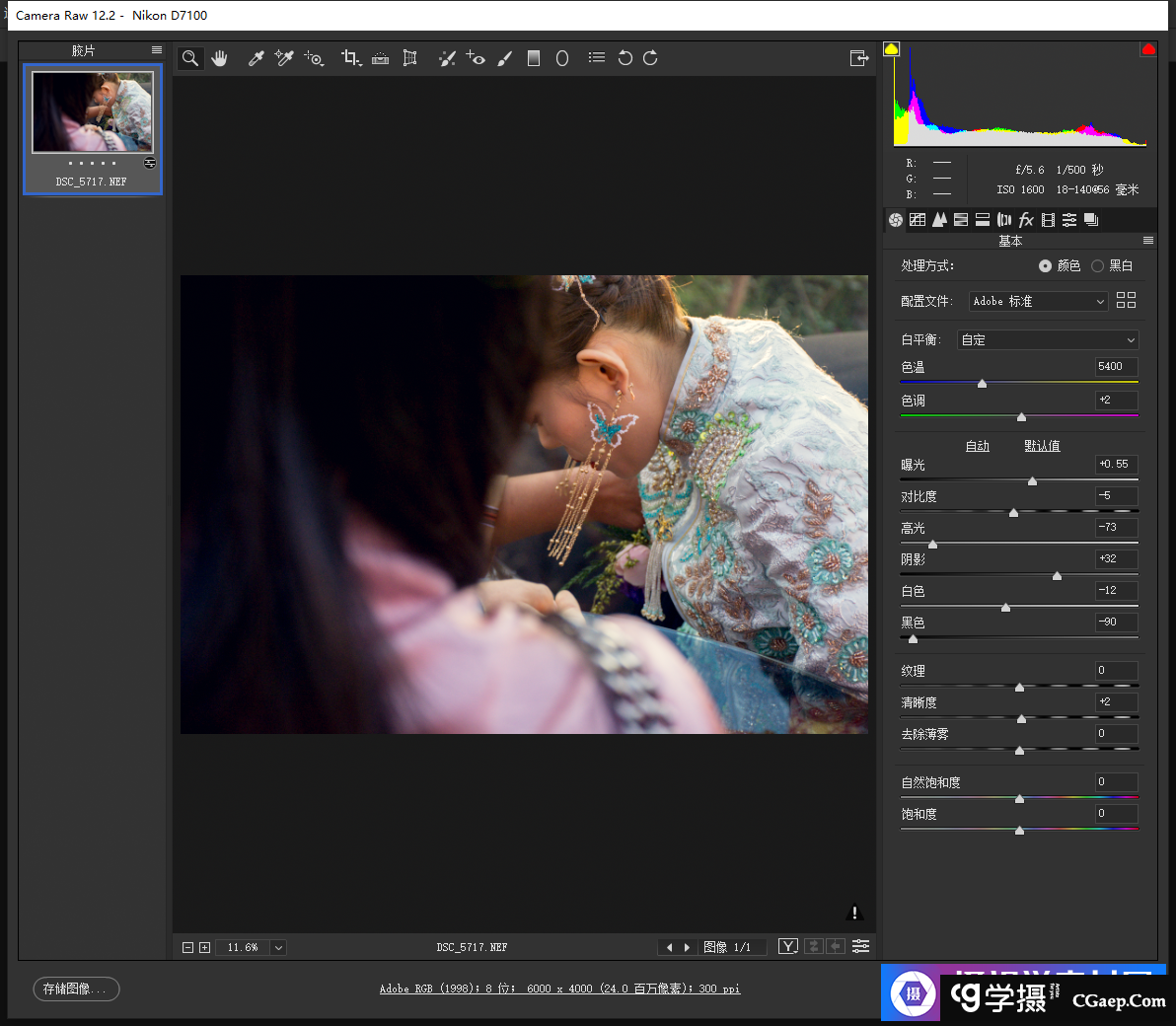 Adobe Camera Raw最新中文版 v12.2 官方版免费下载|Adobe Camera Raw v12.2 简体中文版win/mac