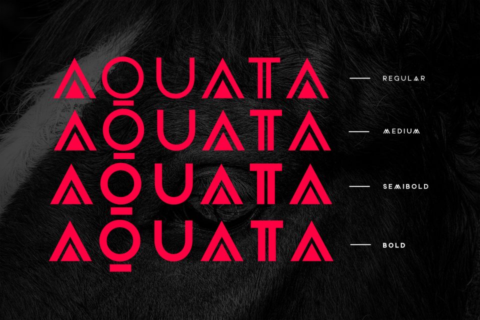 4fdad39f00ca60f90d29c75f98e5f574