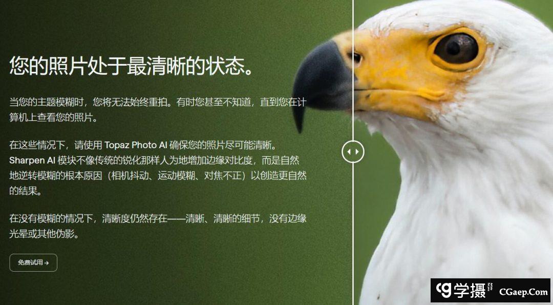 580129827c4ab1d816d12d5149969a29