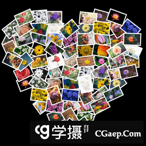 FigrCollage 3.2.7 Pro macOS