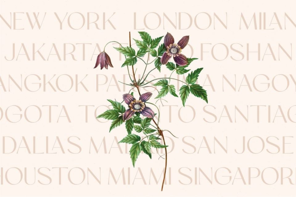 5e65069e32ad60bb6d92ea409adddc30