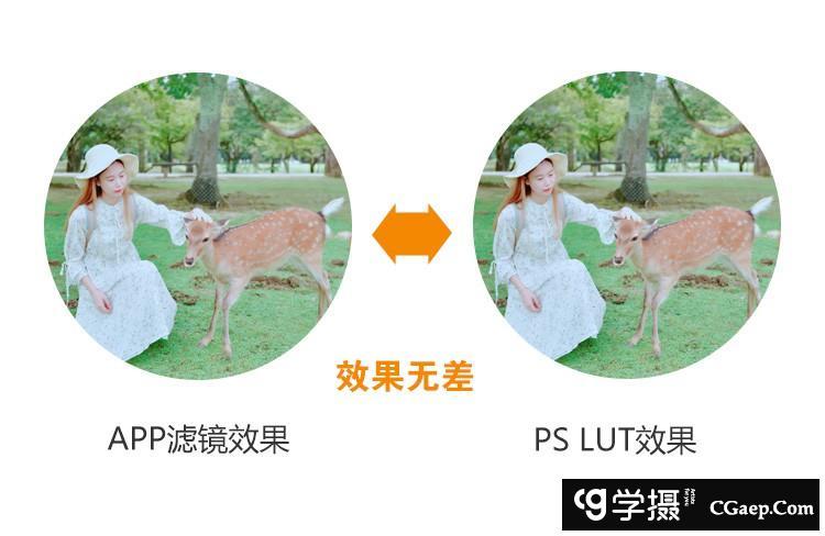 5f27305fc792e799a93383a6722c08a8