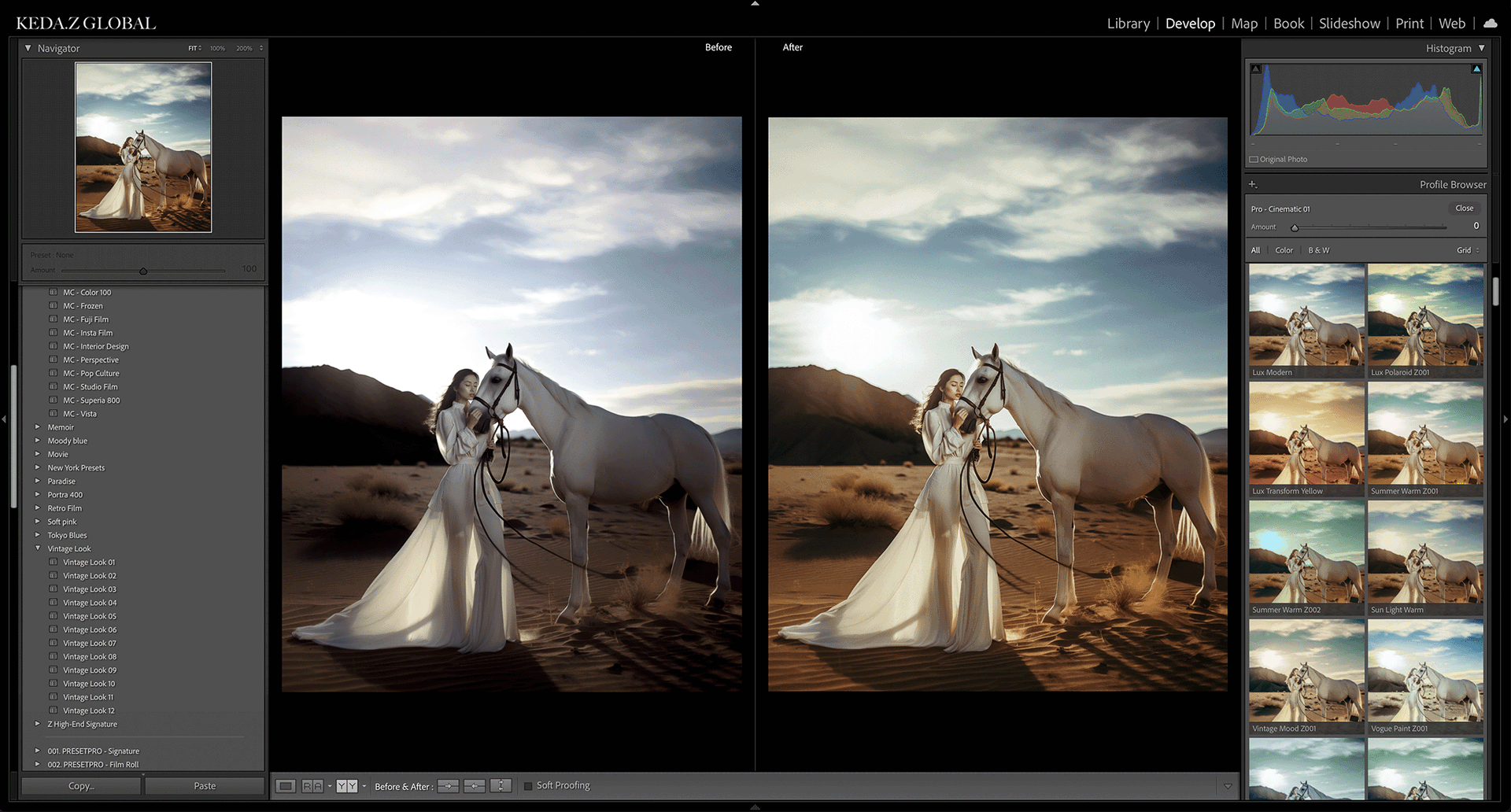 700+ Lightroom 预设 Keda Z – Master Collections Presets 3.0 全套LUT预设插图10