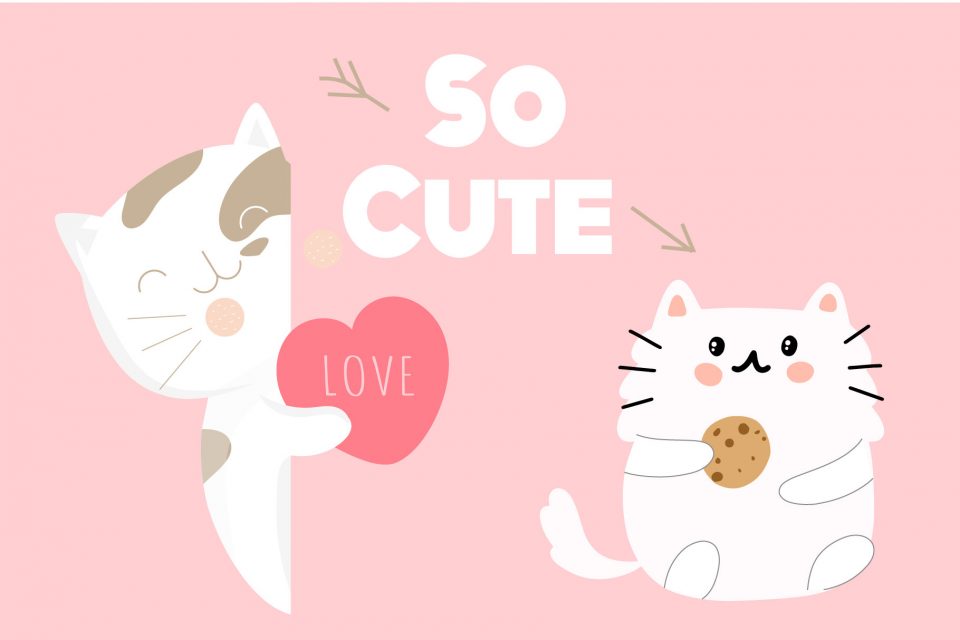 63d22b0a8edaa7627cefc2b85dd1be60