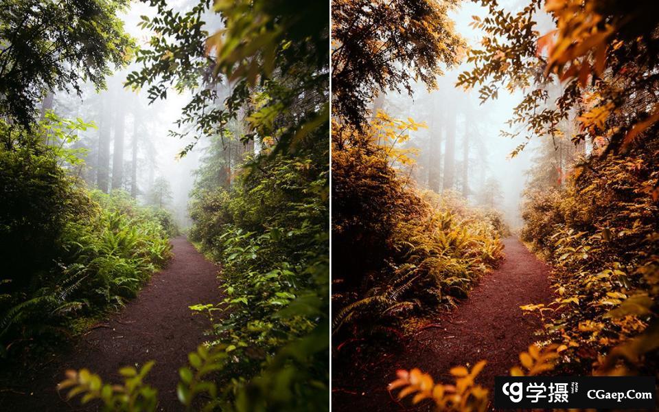 64a3985e8ca2a2f64dc4e9cd1ab58dbd