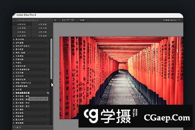 托马斯Thomas看看世界- Nik Collection滤镜插件智能工作流教程