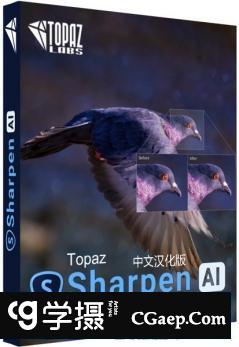 AI人工智能清晰锐化Topaz Sharpen AI 2.1.0中文汉化版 WINX64