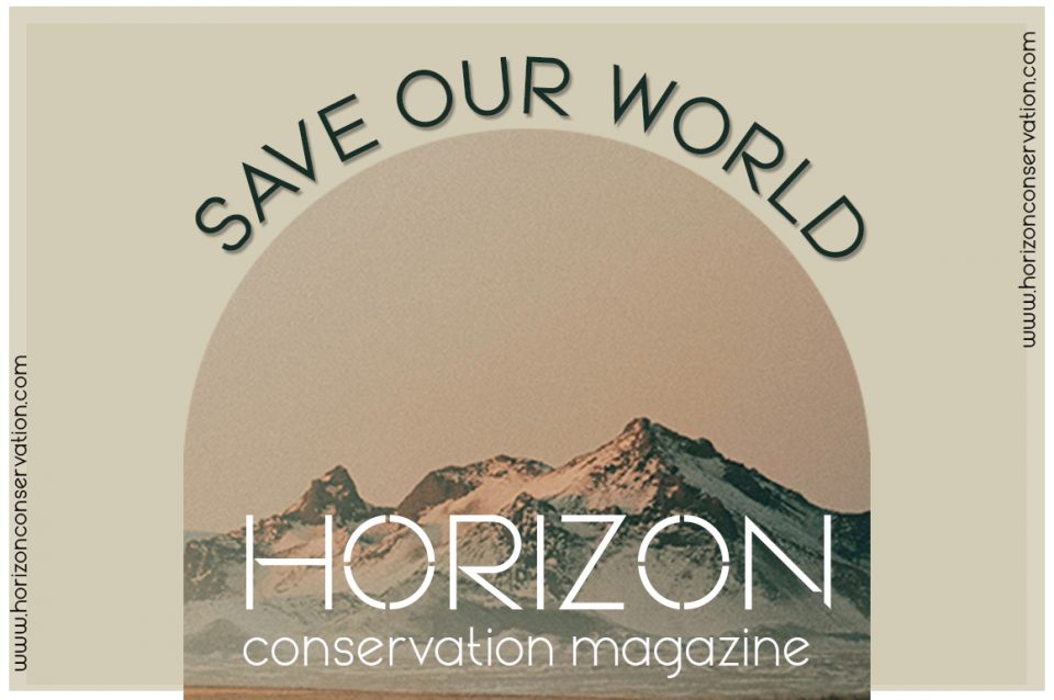 6dc794a931e143091c596b9bc6761278