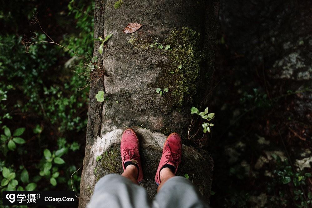 7296e96a20d3c7a13dd154f26aac4854