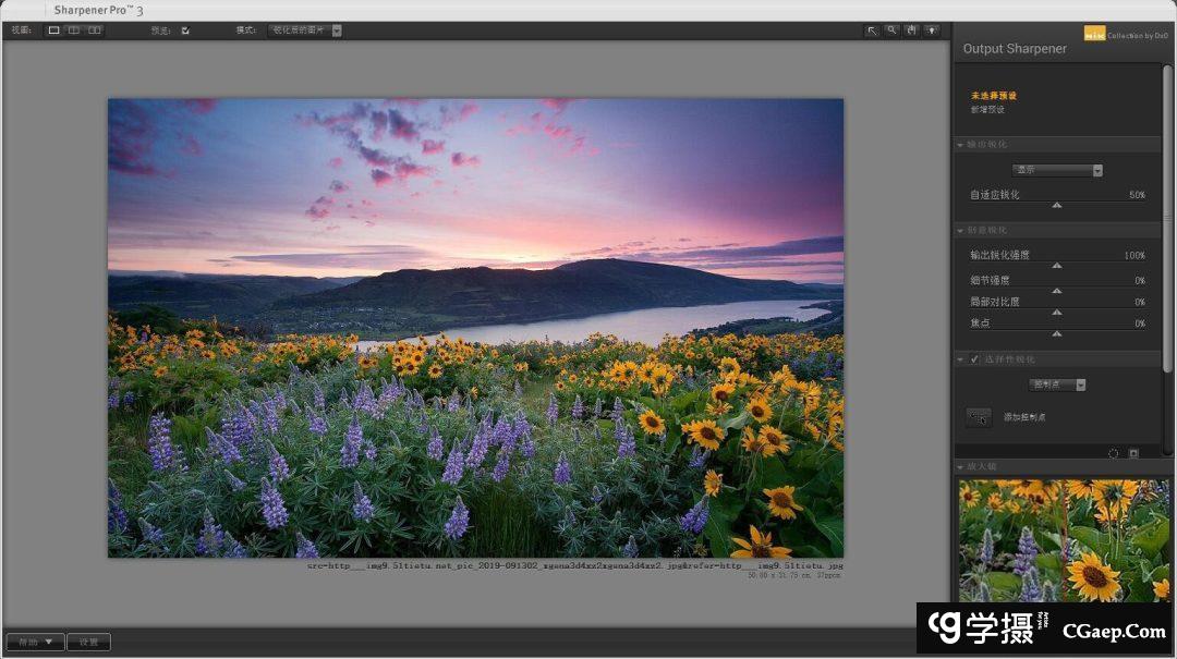 733c0a4222934f49f77b81e41122be19